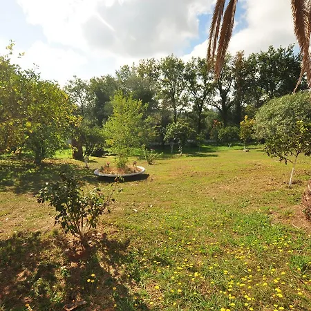 Laskaris Apartament Dassia (Corfu)